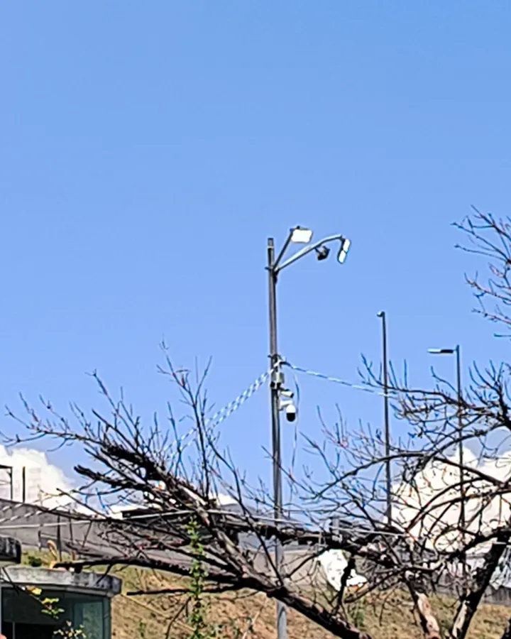 Poste con luminarias contra un cielo azul, con ramas secas al frente
